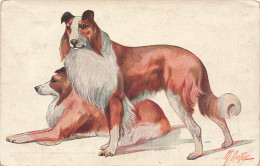 Chien - Colley - Illustrateur Morfini  - Carte Postale Ancienne - Chiens