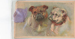 Chien - Illustrateur - Corbella - Bulldog - Double Feuillet Attaché Par Un Noeud - Carte Postale Ancienne - Dogs