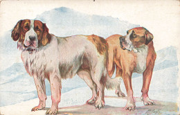 Chien - Mastiff Et  Dogue - Carte Postale Ancienne - Dogs