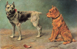 Chien - Un Chien Roux Et Un Chien Gris - Carte Postale Ancienne - Hunde