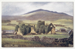 Carlingford Abbey Old Postcard Not Posted 230510 - Louth