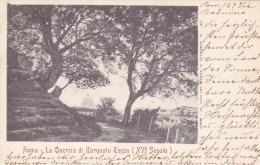 Italy - Roma La Quercia Di Torquato Tasso - Posted 1904 To Germany - Parken & Tuinen