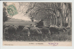 LA CRAU - VAR - LA ROQUETTE - BERGER ET SON TROUPEAU DE MOUTONS - La Crau