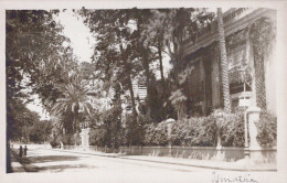 TRES BELLE CARTE PHOTO ISMAILIA / ALLEE ET RESIDENCE - Ismaïlia