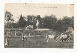 JC, Cp, 86, PLEUMARTIN, Ruines Et Remparts Du Vieux Château , Vaches , Veaux,  Vierge - Pleumartin