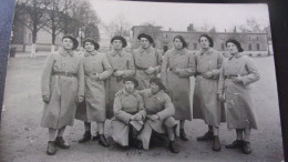 CARTE PHOTO GROUPE CHASSEUR ALPINS PATTE DE COL 50 - Régiments