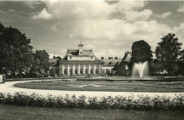 308   Lustschloß Pilnitz  Nr. 1011 Foto-Hanich Dresden - Pillnitz