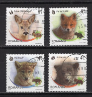 ROMANIA 2012: WILD CUBS Used Stamps Set - Registered Shipping! - Usado