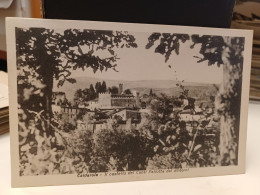 Cartolina Caldarola Provincia Macerata,il Castello Dei Conti Pallotta, 1948 - Macerata