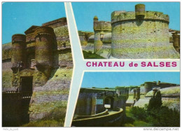 Carte Postale 66 - Salses - Le Chateau Trés Beau Plan - Salses