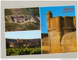 Carte Postale 66 - Salses - Le Chateau Trés Beau Plan - Salses