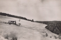 ENVIRONS DE CORCIEUX LES HAUTS DES FRETS - Corcieux