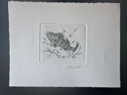 Belgique 1990 COB 2383 Epreuve D'artiste Proof 1er Jour FDC Poisson Fish Fisch Perche - Peces
