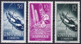 Guinée Espagnole YT 351-352-353 Mi 295-296-297 Année 1953 (MNH **) Animaux - Insecte - Scarabée - Papillon - Guinea Española