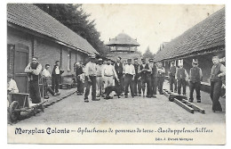 CPA Merxplas Colonie, Eplucheurs De Pommes De Terre - Aardappelenschillers - Merksplas