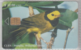 CUBA 2003 BIRD HOODED WARBLER - Songbirds & Tree Dwellers
