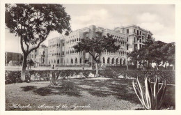 EGYPTE - HELIOPOLIS - Avenue Of The Pyramids - Carte Postale Ancienne - Autres & Non Classés