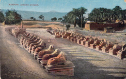 EGYPTE - KARNAK - Sphynx Street - Carte Postale Ancienne - Altri & Non Classificati