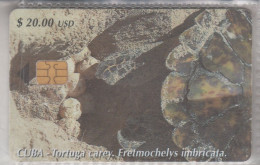 CUBA 2002 TURTLE - Turtles
