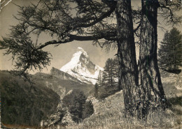 Postcard Switzerland Bei Zermatt Das Matterhorn - Matt