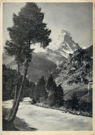 Postcard Switzerland Bei Zermatt Das Matterhorn - Matt