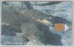 CUBA 2002 CROCODILE - Crocodiles And Alligators