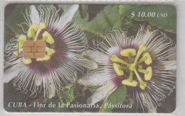CUBA 2000 PASSION FRUIT PASSIFORA - Blumen