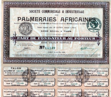 SCI PALMERAIES AFRICAINES 1920 - Navegación