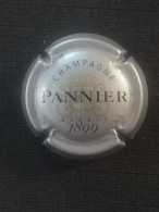 CAPSULE PANNIER - Pannier