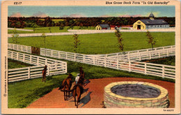 Kentucky Blue Grass Stock Farm "In Old Kentucky" Curteich - Autres & Non Classés