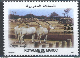 MAROKKO MOROCCO NATURE PROTECTION ORYX FAUNA ANIMALS 2011 - Maroc (1956-...)