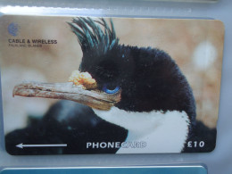 FALKLAND ISLANDS USED CARDS BIRD BIRDS PENGUINS - Pinguini