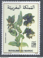 MAROC MOROCCO MARRUECOS FLORE FLEURS FLOWERS FLORA 1989 - Maroc (1956-...)