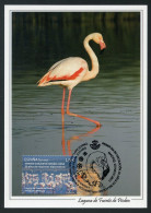 ESPAÑA (2023) Carte Maximum Card - Emisión Conjunta - Joint Issue China Flamingo Flamenco Flamant Phoenicopterus Roseus - Tarjetas Máxima