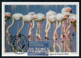 ESPAÑA (2023) Carte Maximum Card - Emisión Conjunta - Joint Issue China Flamingo Flamenco Flamant Phoenicopterus Roseus - Tarjetas Máxima