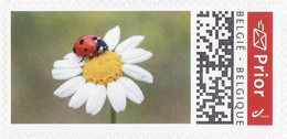 DUOSTAMP** / MYSTAMP**  - Happy Prior 2022 - Fleur & Coccinel / Bloem & Lieveheersbeestje - SPECIAL EDITION - PRIOR - Other & Unclassified