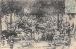 56-PONTIVY- LE CHAMP DE FOIRE - Pontivy