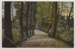 Sittard - Wandelweg Ophoven - Tulpkaart - Sittard