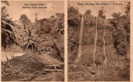 S. SÃO TOMÉ - Roça Ribeira Peixe. Abertura De Um Caminho - Roça Montes Herminios. Cascata - Sao Tome Et Principe