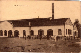 S. SÃO TOMÉ - Secadores De Cacau - São Tomé Und Príncipe