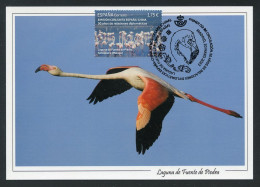 ESPAÑA (2023) Carte Maximum Card - Emisión Conjunta - Joint Issue China Flamingo Flamenco Flamant Phoenicopterus Roseus - Tarjetas Máxima