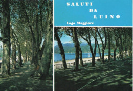 SALUTI DA LUINO - LAGO MAGGIORE -  F.G. - Luino