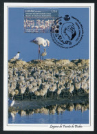 ESPAÑA (2023) Carte Maximum Card - Emisión Conjunta - Joint Issue China Flamingo Flamenco Flamant Phoenicopterus Roseus - Tarjetas Máxima