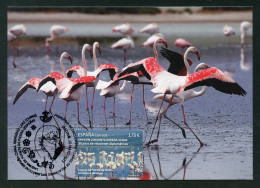 ESPAÑA (2023) Carte Maximum Card - Emisión Conjunta - Joint Issue China Flamingo Flamenco Flamant Phoenicopterus Roseus - Tarjetas Máxima