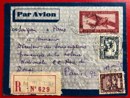 Indochine, Entier-Avion TAD GIADINH, Cochinchine, 1.3.1934, Pour La France - (A673) - Cartas & Documentos