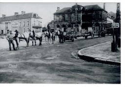 Photo  : Attelage Hippique Avec Tronc D'arbre Tracté  . Reproduction De 2002 . - Automobiles