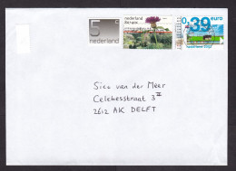 Netherlands: Cover, 2002, 3 Stamps, Flower, Dual Currency Guilder - Euro (traces Of Use) - Cartas & Documentos