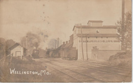 WELLINGTON - Un Train Passant Devant La Gare Et Les Moulins à Farine De La Ville " City Flouring Mills "( Carte Photo ) - Altri & Non Classificati