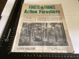 Forêts De France Et Action Forestière. N°134 167  Agriculture, Réglementation Du Fond Forestier National - Garden