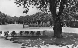 Barjols -  Place De La Rouguiere - Arbre - Platane - CPSM °J - Barjols